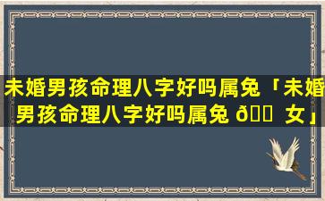 未婚男孩命理八字好吗属兔「未婚男孩命理八字好吗属兔 🐠 女」